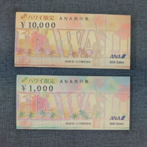 ANAハワイ限定旅行券（50万円分）