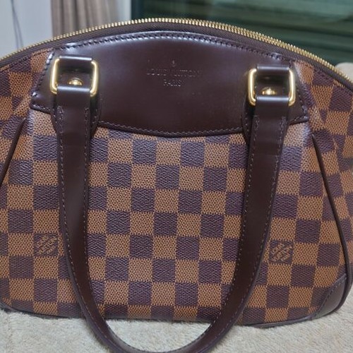 ヴェローナPM ハンドバッグ