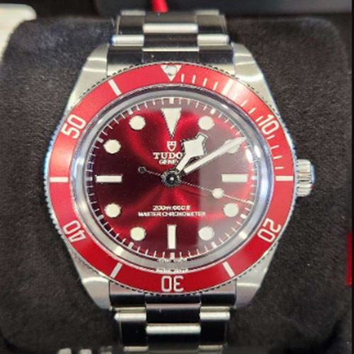 チューダーブラックベイ58