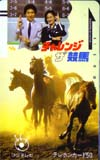 チャレンジザ競馬