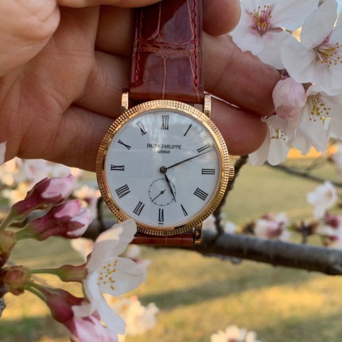 パテックフィリップ カラトラバ 5119R-00