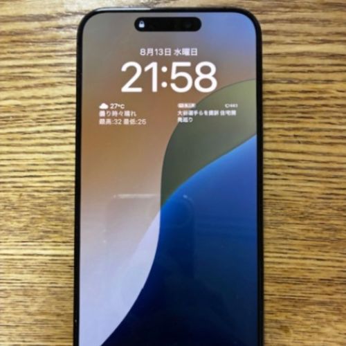 iPhone 15 Pro Max 256GB SIMフリー