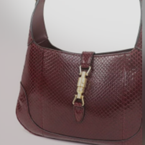 パイソン　ミディアム　ホーポーバック　ジャッキー