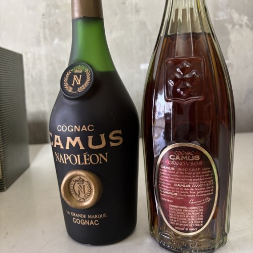 カミュナポレオン