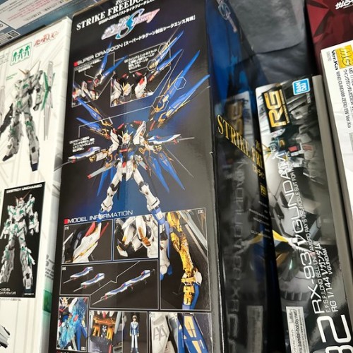ガンプラ　PG ストライクフリーダムとMG ハイニューガンダム