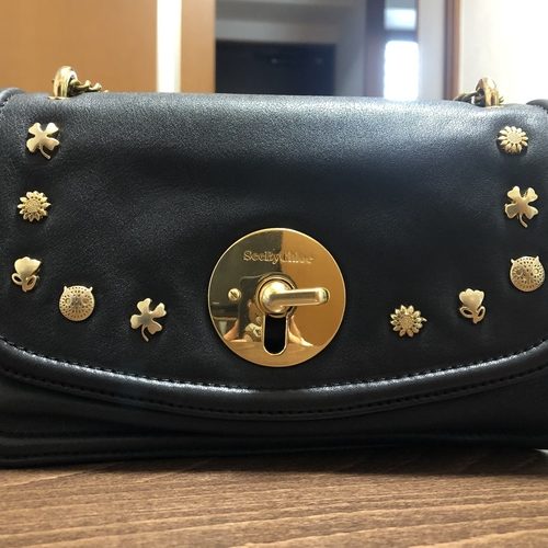 シーバイクロエ Lois チェーンショルダーバッグ