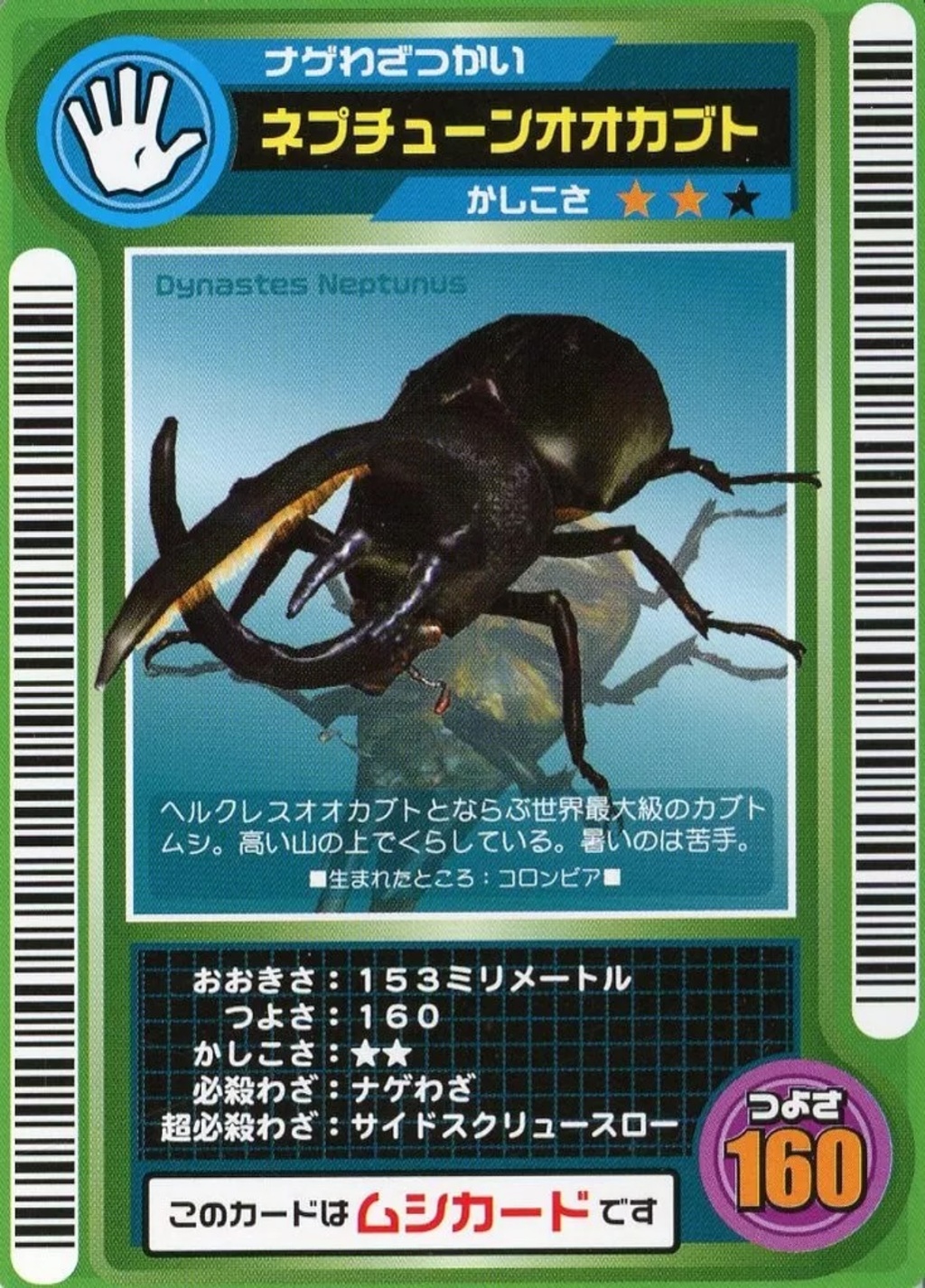 ネプチューンオオカブト