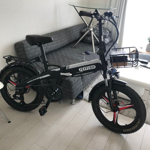 電動アシスト自転車　メーカーFLYFISH