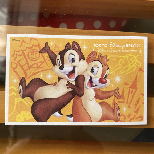 東京ディズニーリゾートパークチケット