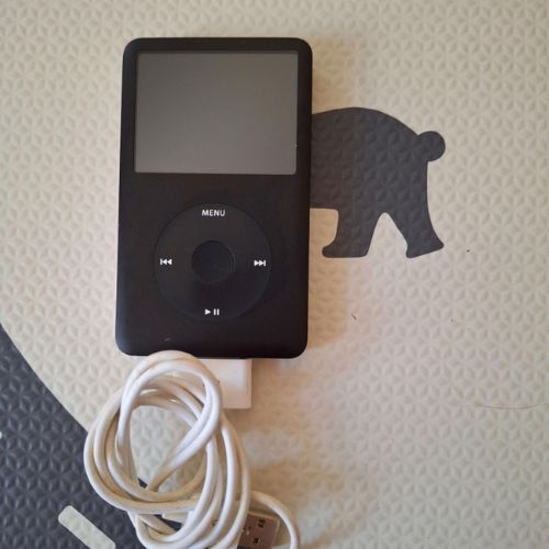 iPod Classic 80GB