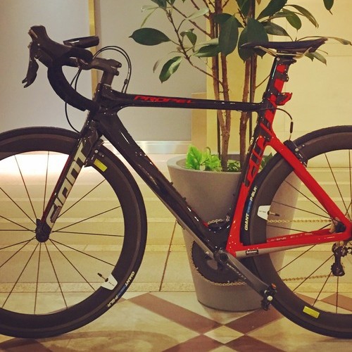 GIANT PROPEL