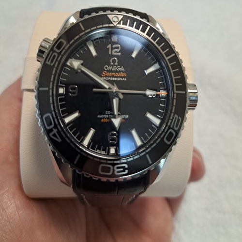 シーマスター プラネットオーシャン 600M