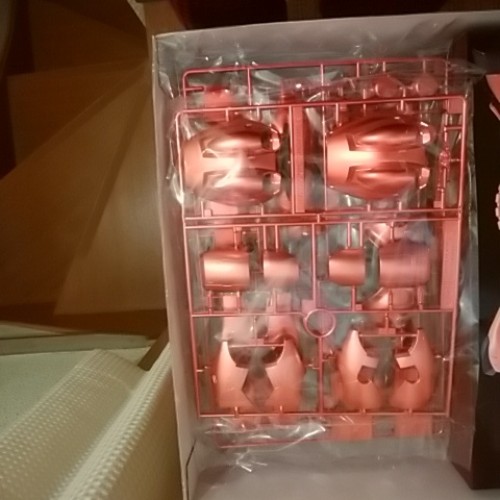 G ガンプラEXPO限定 シャア専用ザク フルカラーコーティングバージョン