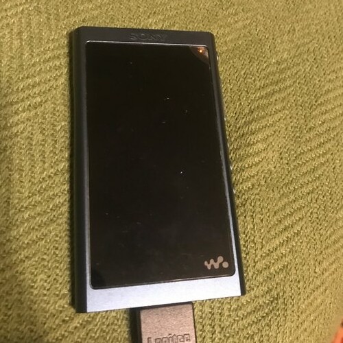 ソニーウォークマンnw-a55