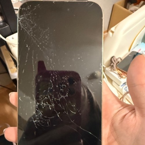 iPhone14Promax 256GB