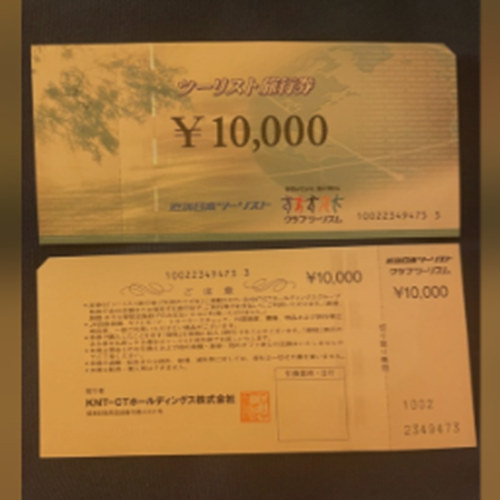 ツーリスト旅行券（33万円分）