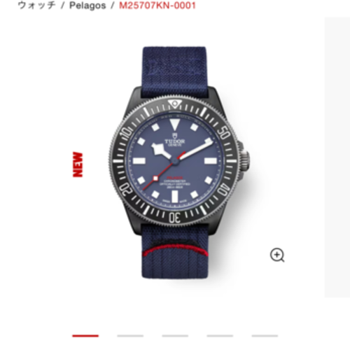 PELAGOS FXD　アリンギ レッドブルレーシング
