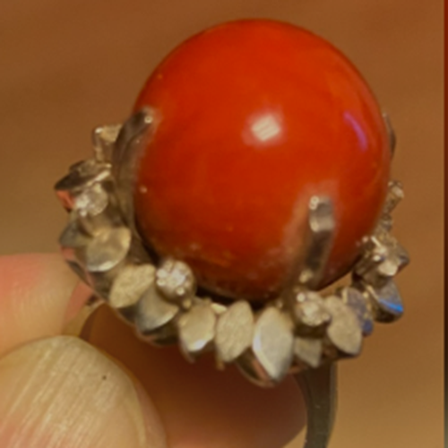 血赤珊瑚リング、デザインは井伏鱒二の息子作家物、玉は15㍉