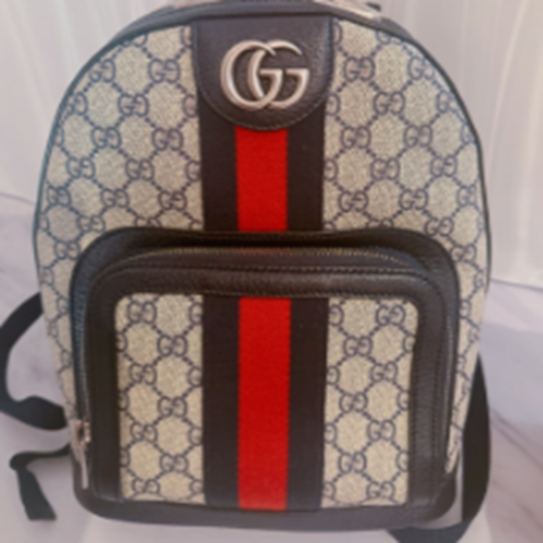 オフィディア スモール バックパック