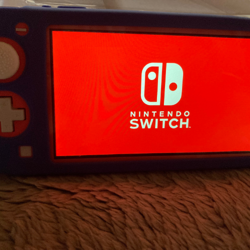 スイッチライト② 12,000円