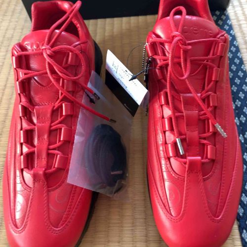 Supreme x Nike Air Max 95 Lux Red