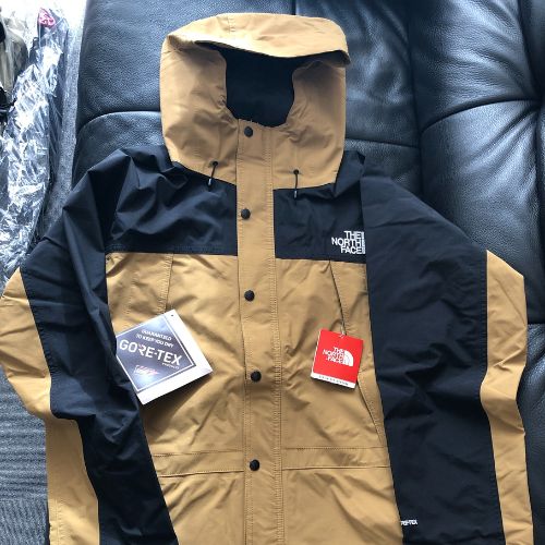 THE NORTH FACE MOUNTAIN LIGHT JACKET