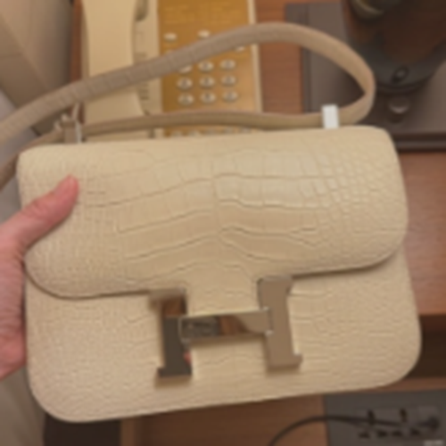 コンスタンス　アリゲーター