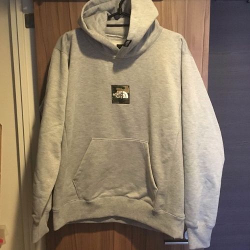 ザノースフェイス スクエアロゴビックフーディー