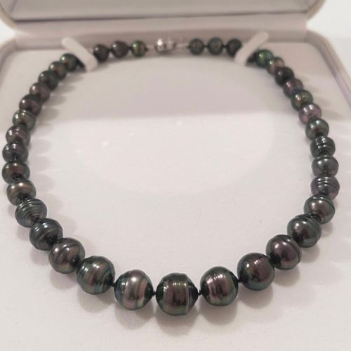 黒蝶真珠ネックレス