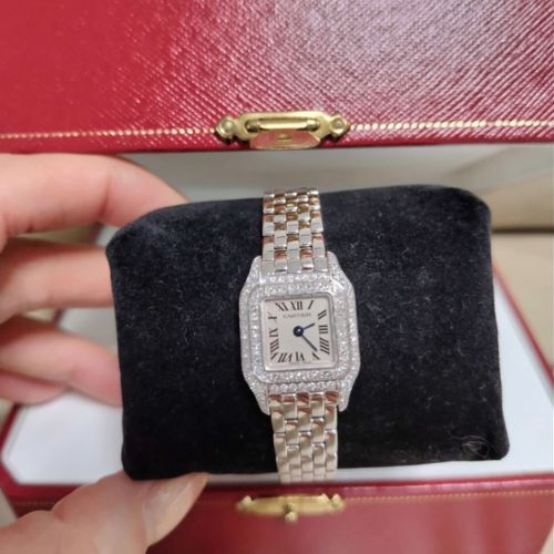 ミニパンテールWGダイア