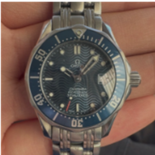 シーマスタープロフェッショナル300