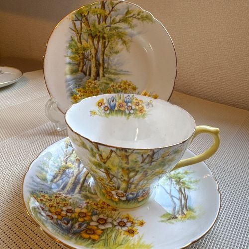 Shellyカップ＆ソーサー