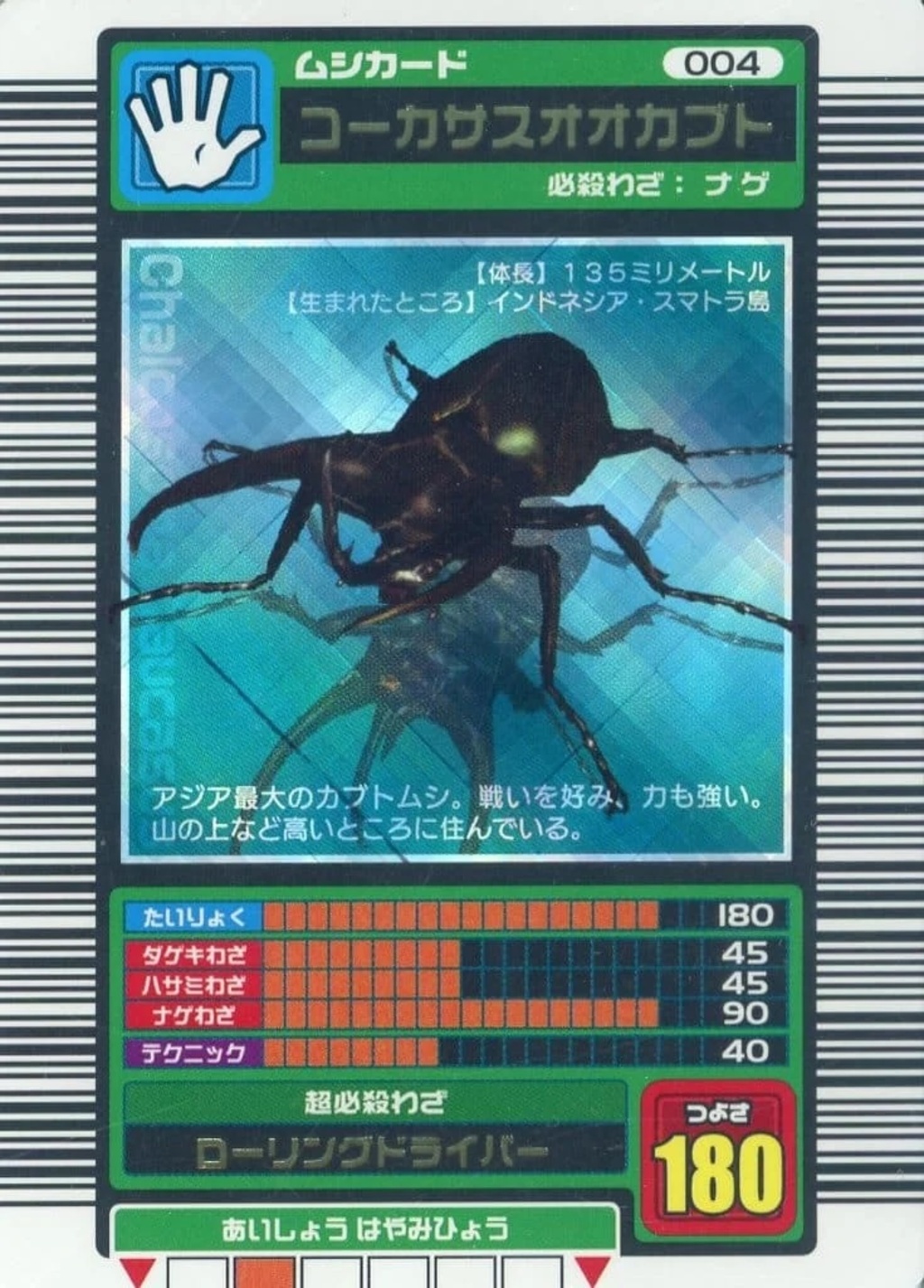 コーカサスオオカブト(青キラ)