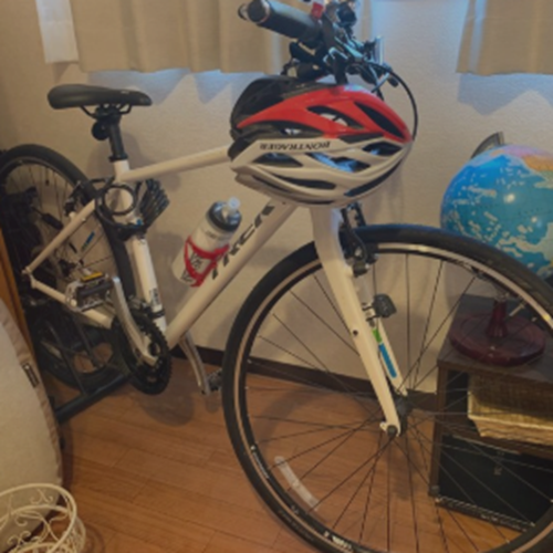 TREK FX7.4（2015年購入）