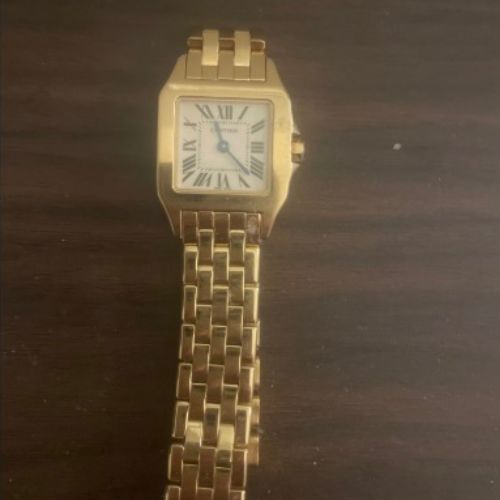 カルティエ その他 パンテール