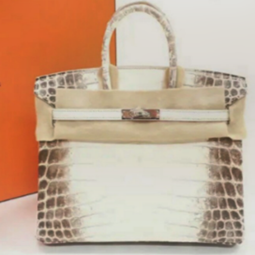 エルメスバーキンヒマラヤ30