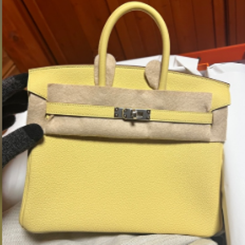 バーキン25 トゴ