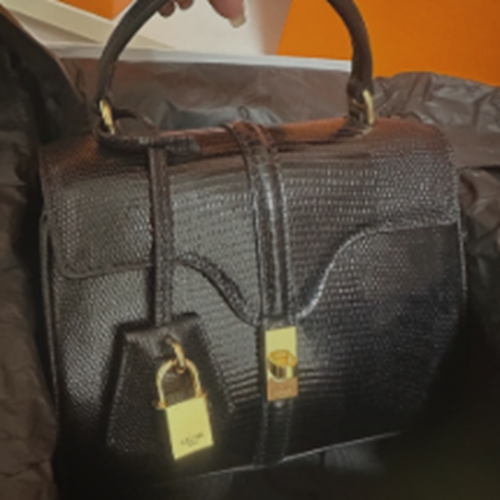 ミニ16セーズ　リザード