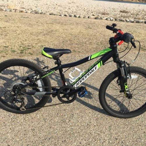 キャノンデール　トレールボーイ20