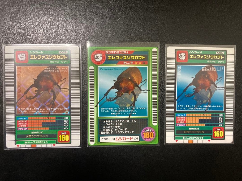 エレファスゾウカブト(ロケテスト版)