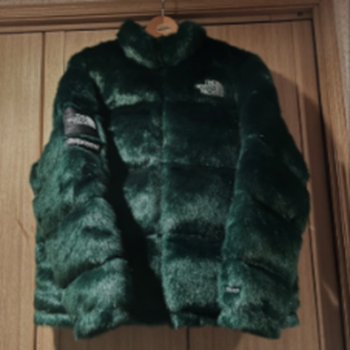 Supreme × THE NORTH FACE　 20AW Faux Nupt