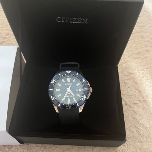 その他 その他 シチズン BN0196-01l