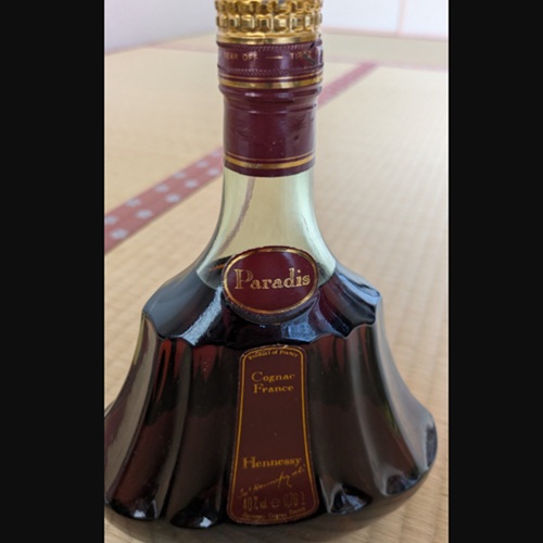 Hennessy Paradis