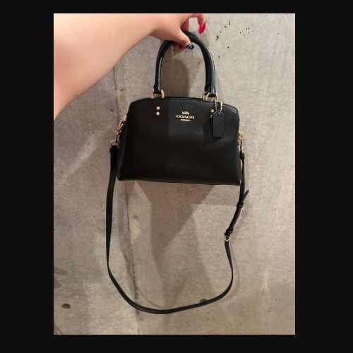 コーチMini Lillie carryall 2way