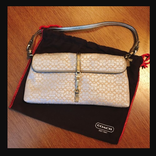 Coach Shimmer Silver/Gold Mini H3J-6380