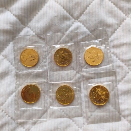 メープルリーフ金貨　1/2oz✕6