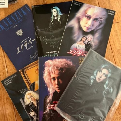 宝塚エリザベートDVD BOX