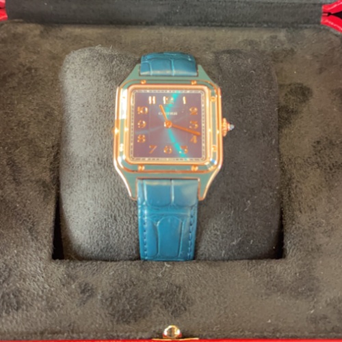 サントス デュモン WGSA0098