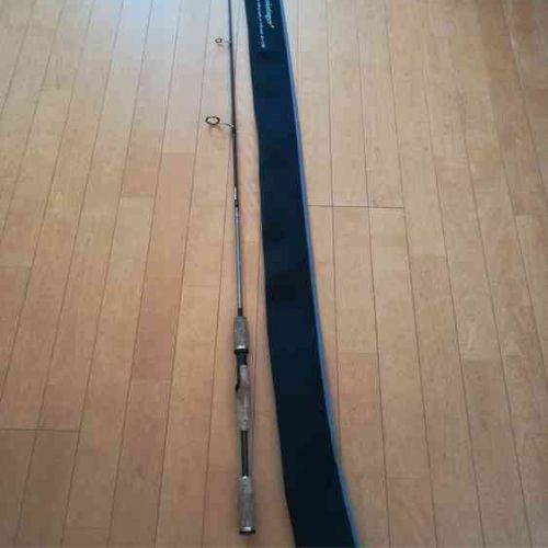 テムジン　ブラッシュスティンガー