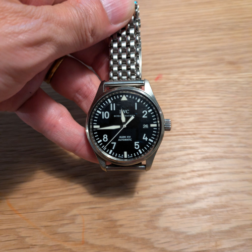 パイロット・ウォッチ マーク16